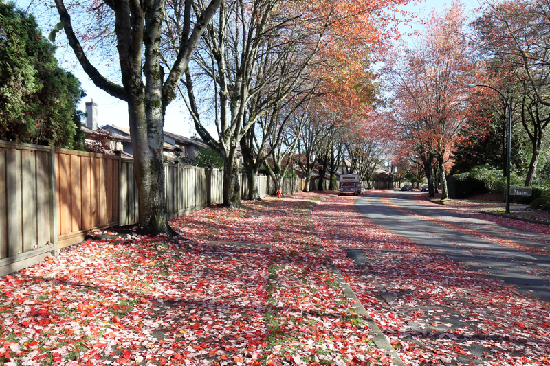 Illustration for article titled Pics from the Curbside (and others) - November 2018